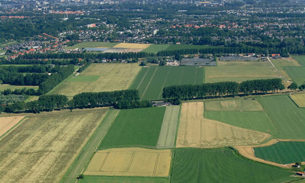 Groene polder